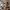 Wall Art Manga 376