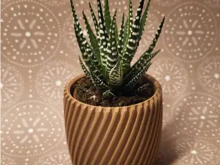Vase décoratif 08