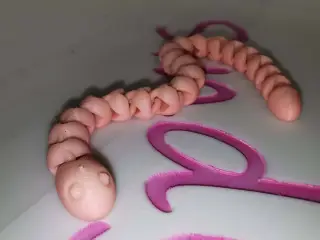 Cute Snakey