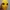 mask haloween, easy animatronics