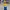 Homero simpson