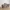 الشاحنة القديمة