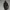 Big walking Cartoonish Sasquatch Figurine
