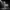 cebra