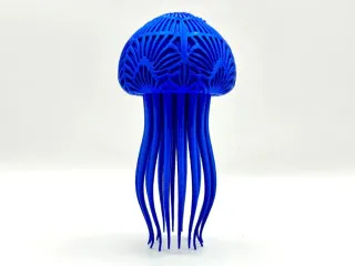 Jellyfish