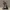 Punk Rock Skeleton Guitarist – Dancing Metal Figure