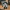 Moki Signal – The Tech Scout