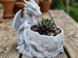 Dragon Succulent Planter-0
