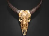 Bill, the Buffalo Skull-0