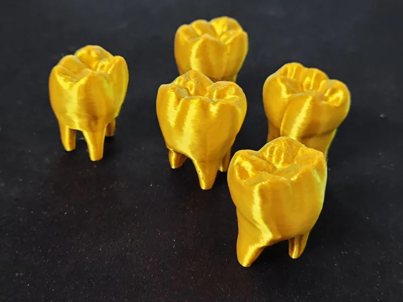Golden tooth golden teeth human tooth
