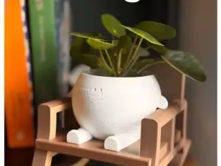Rock Pot