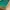 10x20 Samenanzucht