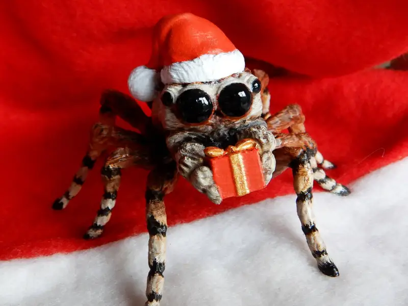 Giant Jumping Spider Santa