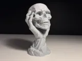 Skull in Hand-0
