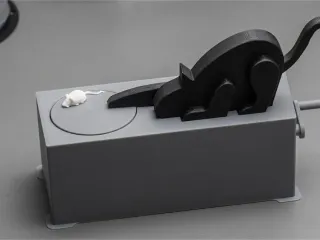 Cat and Mouse Toy