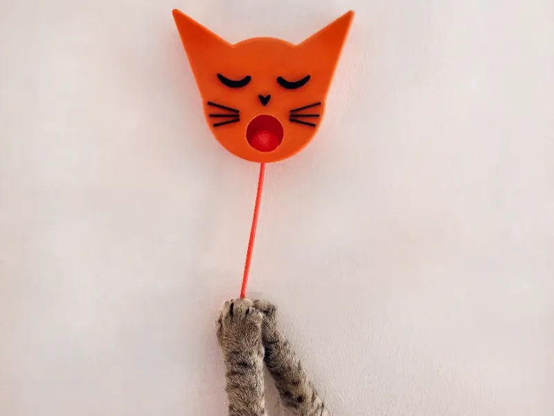 Pendulum for Cats