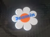 flor jazmin-0