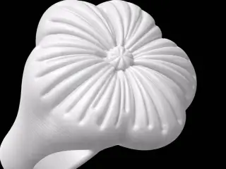 Cushion Ring