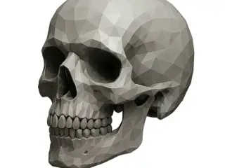 Poly Skull