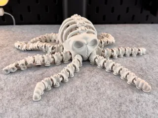 Articulated Skeleton Octopus