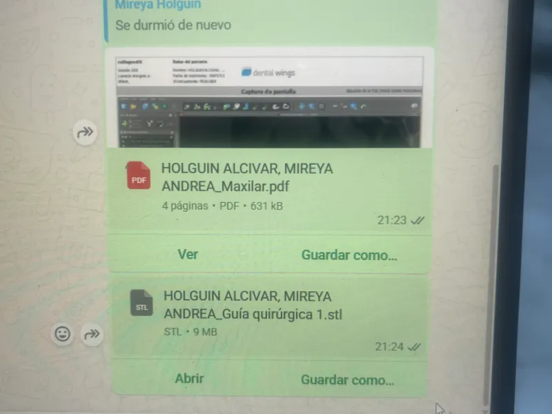 Holguin