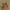 Low Poly Versunkener Schatz