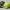 Worksite Safety Helmet | Realistic Construction Hard Hat |