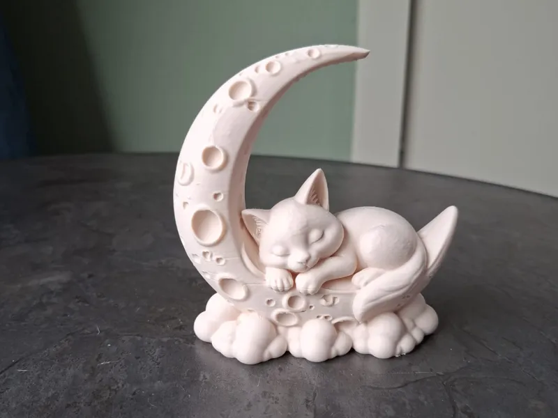 月の上で眠る猫