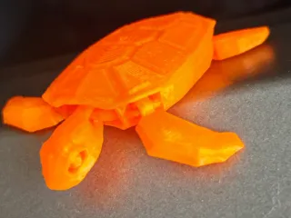 Sea turtle