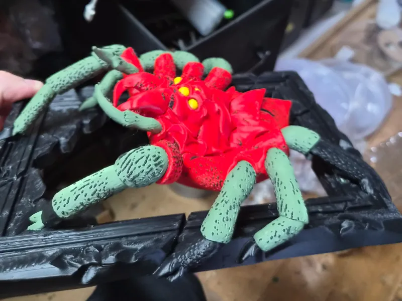 tarantula