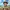 Monkey D. Luffy – One Piece