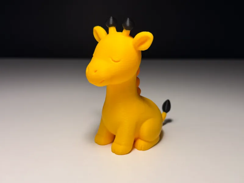 Giraffa carina