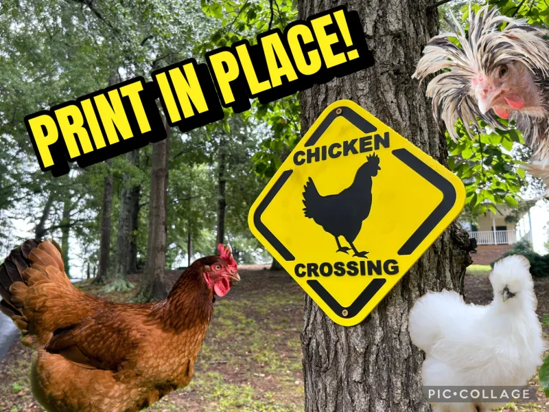 Cruce de Gallinas