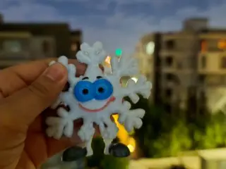 Mister Snow