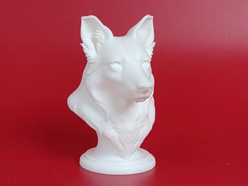 Rough Collie Dog Bust