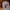 Oldschool Tibia RPG Orshabaal