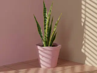 Maceta Cute Pot plant