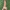 3d Scanned Penis (Hard)