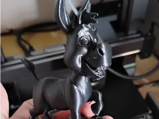 Burro