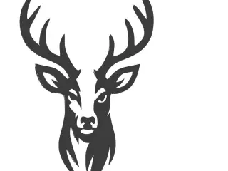Cerf