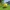 Minecraft Verity