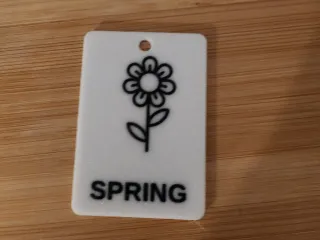 Spring Tag