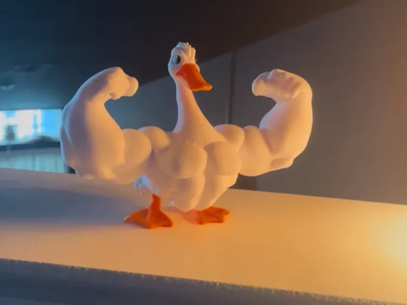 マッスルダック：- AMSなし