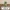 Niedlicher Babydrache Cartoon 3D