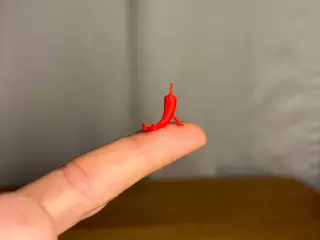 Mini Chilli Buddy