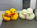 Couple Ducks 3c crea-0