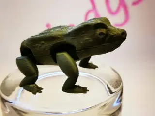 Jumping Frog