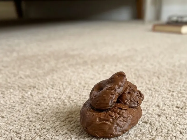 Fake poop prank
