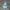 【复活节/中秋节】萌兔灯，一共两个配置，不同灯具