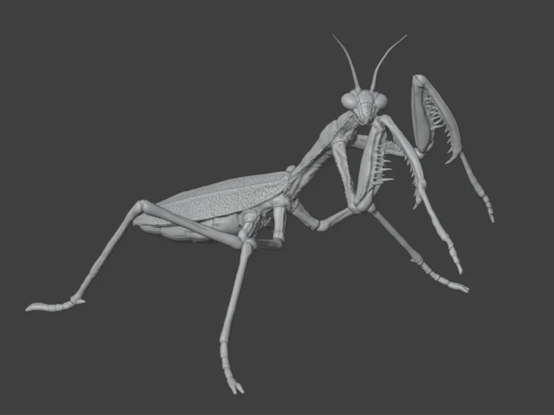 Insect Mantis Assembly Model